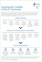 Ensuring the usability of the EU Taxonomy infographics - Febuary 2022 Ensuring the usability of the EU Taxonomy infographics - Febuary 2022