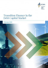 ICMA paper - Transition Finance in the Capital Market - February 2024 ICMA paper - Transition Finance in the Capital Market - February 2024