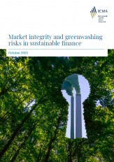 Market integrity and greenwashing risks in sustainable finance October 2023 Market integrity and greenwashing risks in sustainable finance October 2023